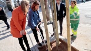 Plantació arbres Català